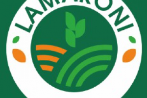 LAMARONI. Макаронные изделия