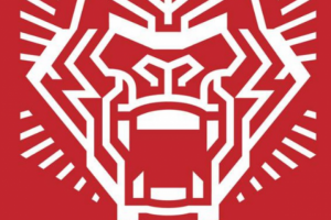 BORZILLA - ЭКИПИРОВКА для ЕДИНОБОРСТВ