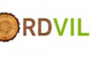 ДОМОСТРОЕНИЕ. Название = Домен