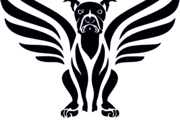 img4553053.png