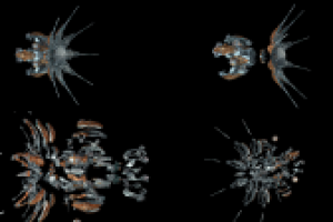 YTG Battleship Disassembling