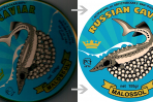 Отрисовка в вектор со скана. Ai