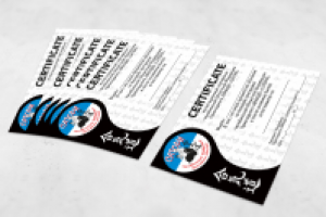 разработка сертификата Айкидо