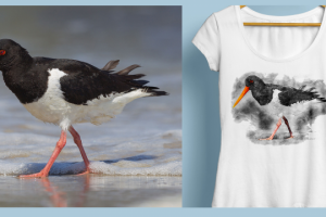 Обработка фото для создания принта на футболу