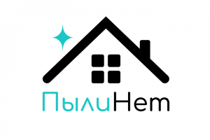 Разработка логотипа для ПылиНет