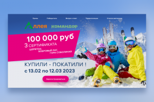 Купили-покатили