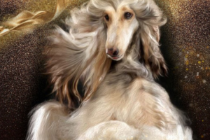 Золотой пёс