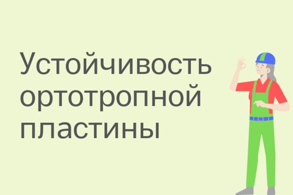 img3507296.png