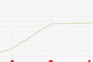 SEO продвижение сайта 6 месяцев