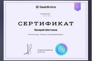 Сертификат Основы программирования