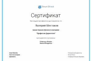 Сертификат Директолога