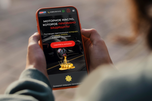 Интернет-магазин на WordPress