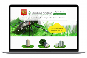 Московская городская санитарно-эпидемиологическая служба