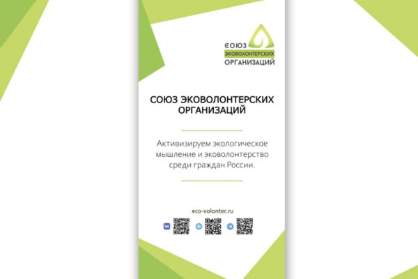 img4276309.png