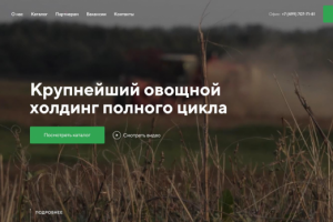 Дмитровские овощи