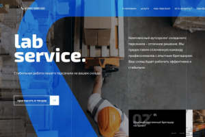 labsv.ru
