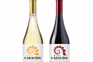 Работа 3992004