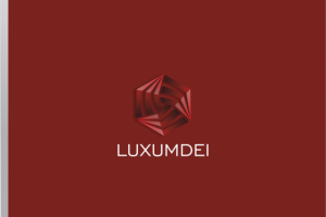 Работа 3262174