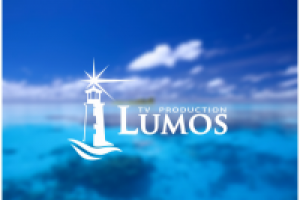 Работа 1493437