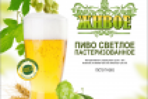 Работа 2068472