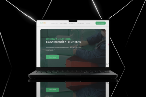 Эковата «ВАТЭКО» лендинг на WordPress Sage 10