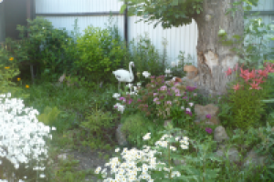 Ландшафт в Лазурном