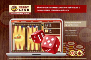 Инвест. предложение Интернет-проекта