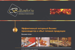 Бизнес-план в виде презентации