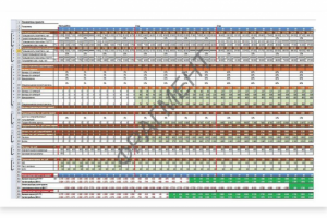 Разработка финансового плана Интернет-проекта