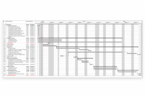 Менеджмент проекта