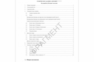 Формирование ТЗ на разработку Интернет-магазина