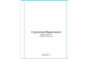 Пример отчета - стратегия маркетинга
