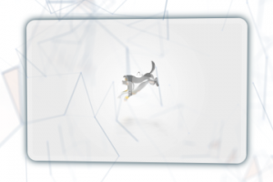 Intro #2 | Школа Шмеля