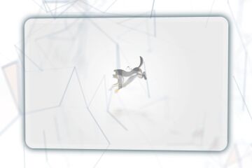 img4178197.png