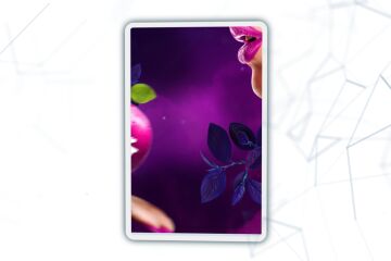 img4178938.png