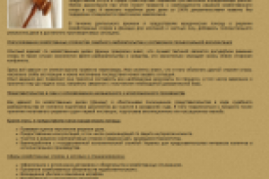 Представительство интересов в хозяйственном суде