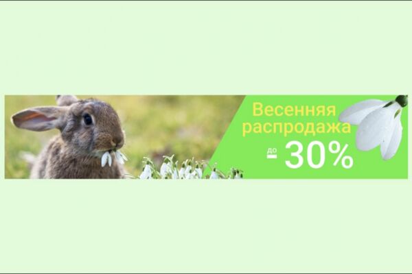 img4647650.png