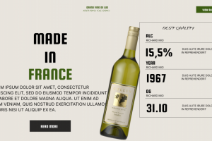 Дизайн сайта "Moutefeels" – Платформа о вине