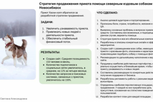 Стратегия продвижения приюта для собак