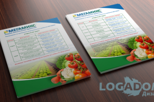 Инструкция 4+4