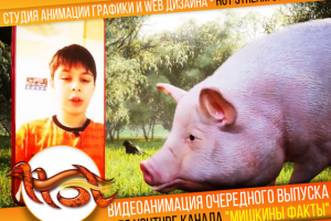 Очередная серия для YOUTUBE канала "Мишкины Факты"