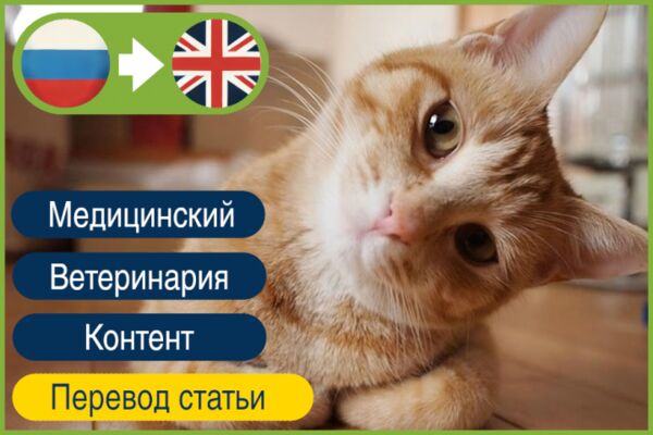 img4313182.png