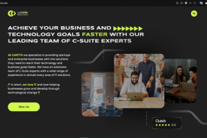 Разработка сайта компании CallCTO (CMS WordPress)