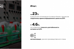 итог - выстраивание б-п в нефтехимическом производсве