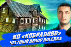 Превью к видео на Ютуб Кобралово