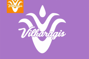 Отрисовка логотипа в большой размер