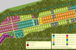 Лесное озеро 1