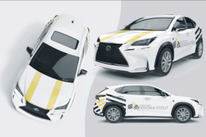 Фирменный стиль застройщика «Design and Fitout»