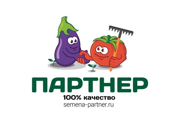 img3778335.png