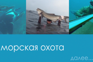 Передача о подводной охоте в Индонезии